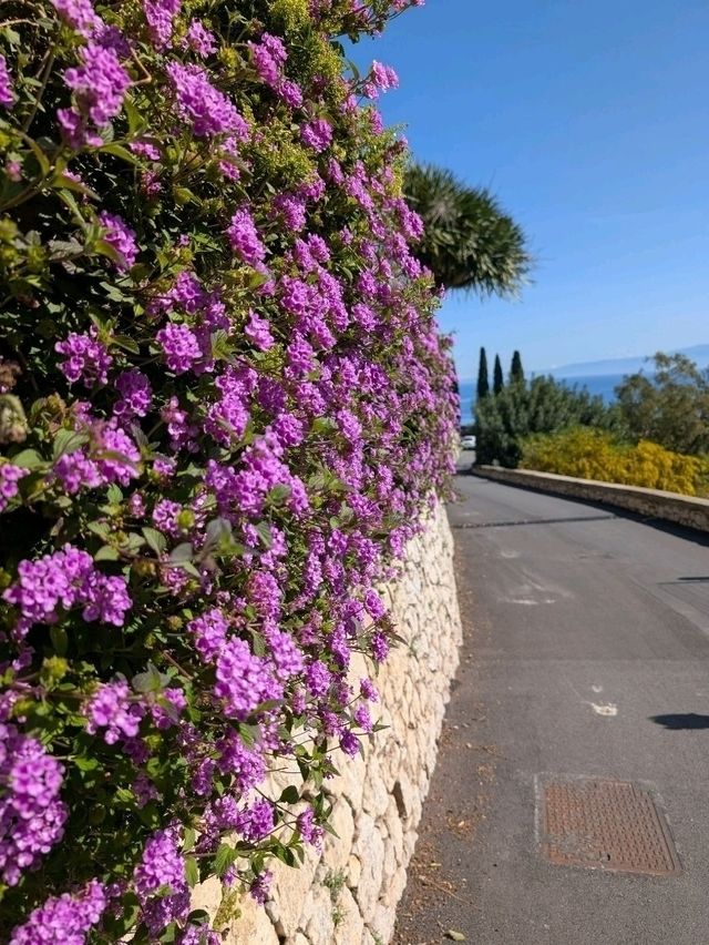 spring walk