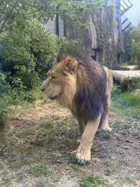 Hertfordshire Zoo… get up close and personal 
