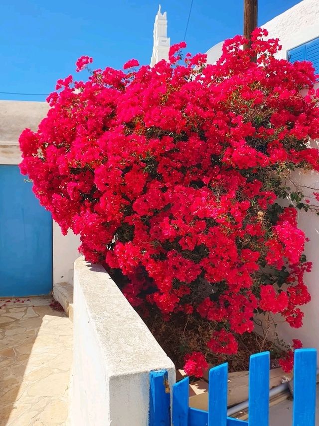 Anafi: A Secluded Cycladic Paradise of Simplicity and Wild Beauty 🇬🇷✨
