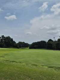 ⛳ 남수원 체력단련장, 도심 속 초록 라운딩의 여유