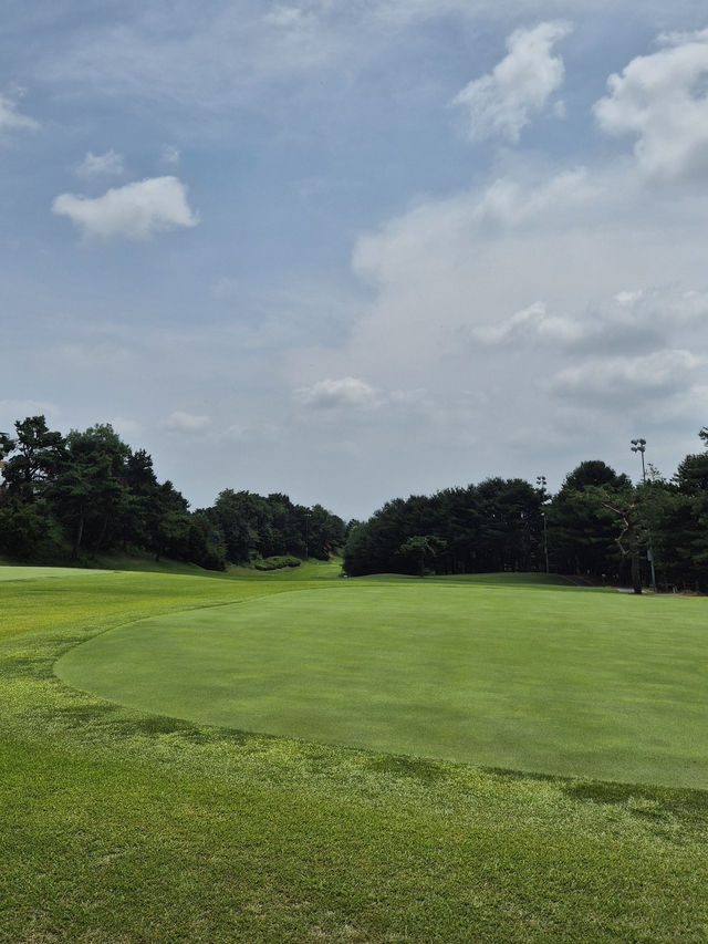 ⛳ 남수원 체력단련장, 도심 속 초록 라운딩의 여유