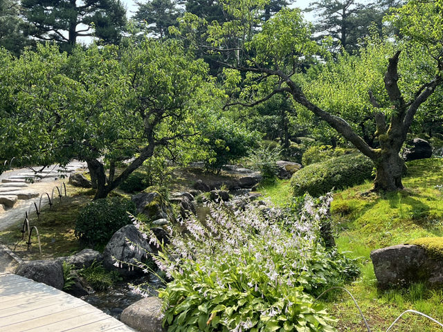2-Day Kanazawa Tour: Meditative Temples and Modern Art Symphony