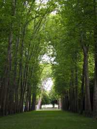 Enjoy Chateau de Versailles?