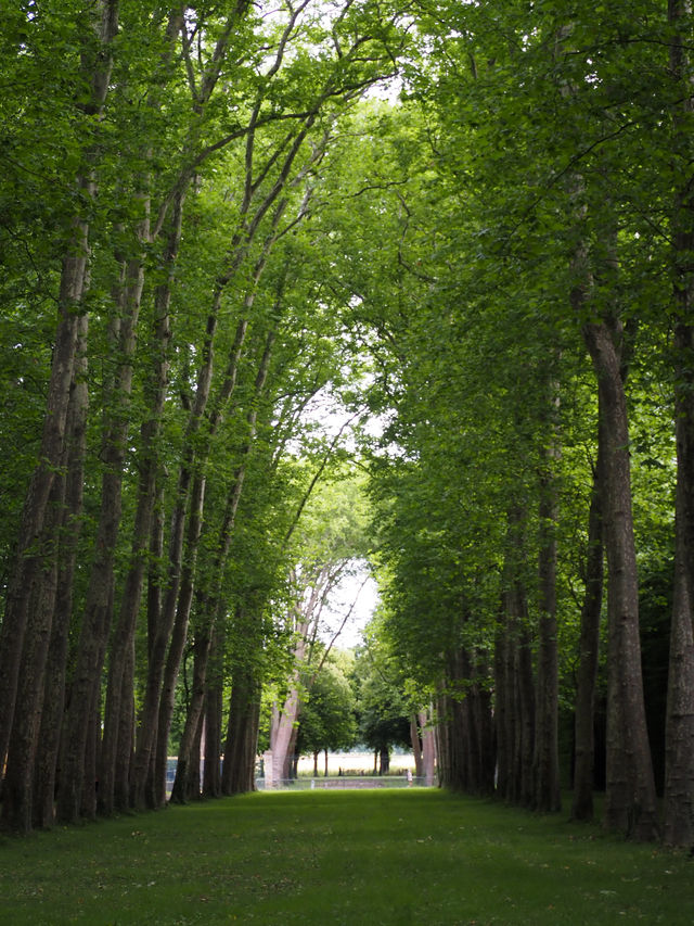 Enjoy Chateau de Versailles?