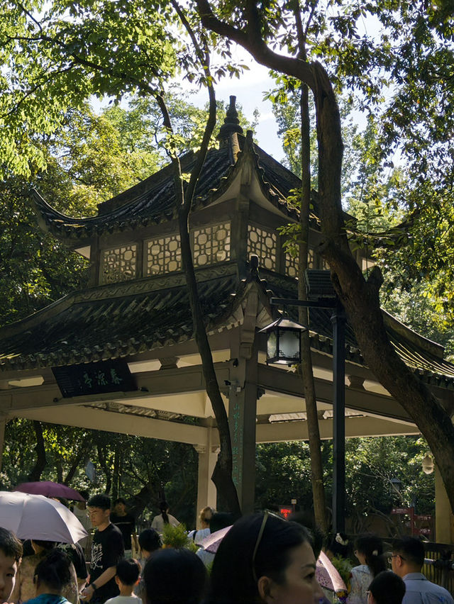 🪷☁️ Heaven on Earth Found! Drifting Through Hangzhou’s Watercolor Dreams...