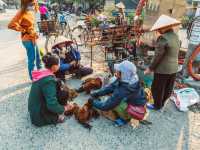 Tam Coc: Vietnam’s Hidden Gem of Limestone Peaks and Peaceful Rice Fields