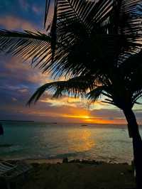 🌊 Dhiffushi Island, Maldives – A Local Island Paradise Experience