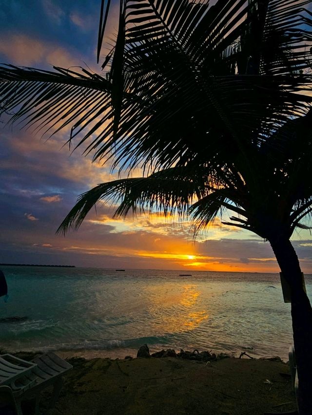 🌊 Dhiffushi Island, Maldives – A Local Island Paradise Experience