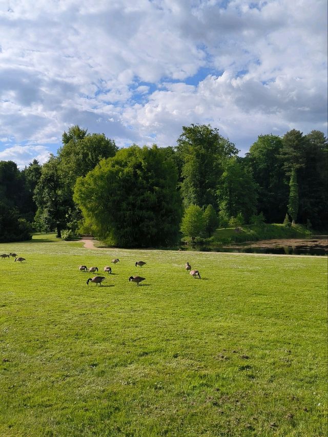 🌿 A Stroll Through Schloss Dyck’s Enchanted Gardens 🏰🦢