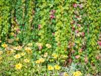 🌿 Park Oliwski: Peaceful Green Escape in Gdańsk