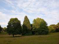 Dewstow Estate Caldicot, Highmoor Hill and Slade Wood 