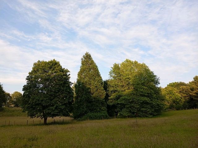 Dewstow Estate Caldicot, Highmoor Hill and Slade Wood 