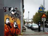 Where to Stay in Reykjavík: Neighborhood Guide for Every Traveler