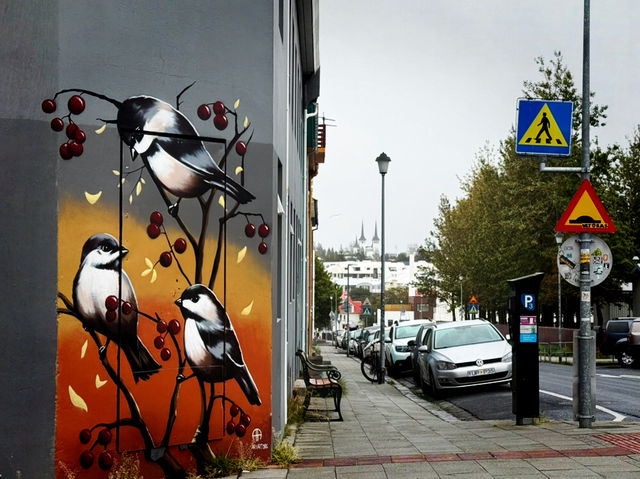 Where to Stay in Reykjavík: Neighborhood Guide for Every Traveler