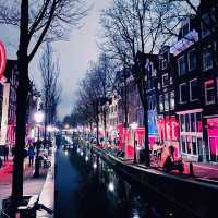 Amsterdam on a Shoestring: Canals, Parks & Local Life