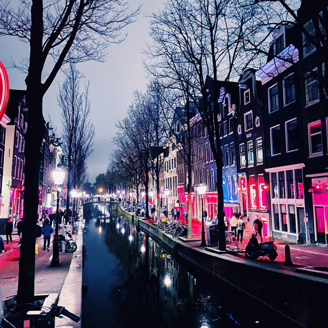 Amsterdam on a Shoestring: Canals, Parks & Local Life