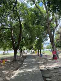 Venezuela Trip: Must-See Places in El Vigia