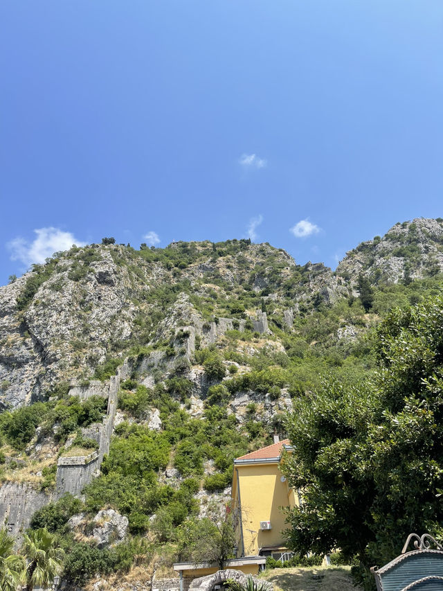 ⛰️ Kotor: Bay Views & Medieval Streets