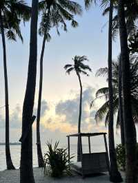🌴 Thulusdhoo Holiday – Relax, Explore, Repeat 🌊✨