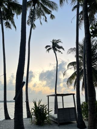 🌴 Thulusdhoo Holiday – Relax, Explore, Repeat 🌊✨