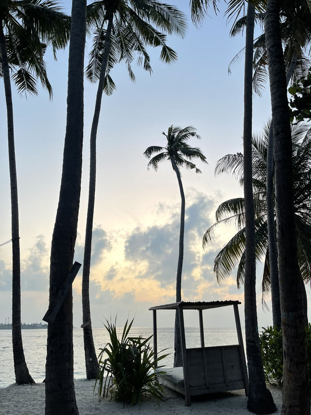 🌴 Thulusdhoo Holiday – Relax, Explore, Repeat 🌊✨ 🌴 Thulusdhoo Holiday – Relax, Explore, Repeat 🌊✨