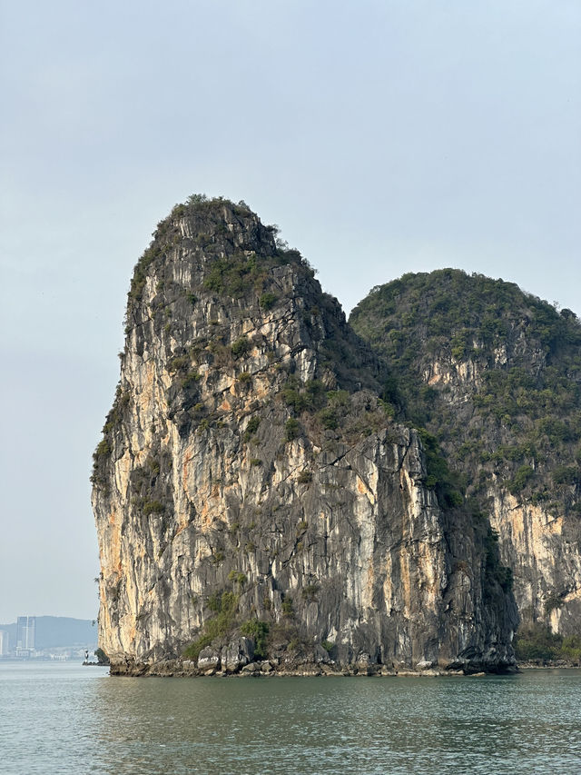 ⛵️ Sailing Through a Forest of Stone Dragons ⛵️ Sailing Through a Forest of Stone Dragons