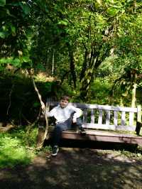 Benmore Botanic Garden, Dunoon – A Forest of Giants and Calm