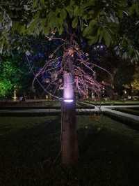 Сиемреап, Камбоджа.