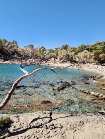 🌊 Бирюзовые берега Фазелиса — где руины встречаются с морем 🐚💙