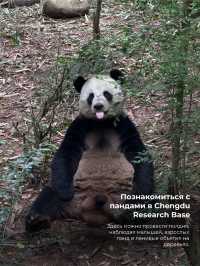 10 причин посетить Китай в 2026 году 🇨🇳