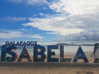 Isabela, Galapagos - In all it's beauty 🇪🇨🦎🦈🦀🐧