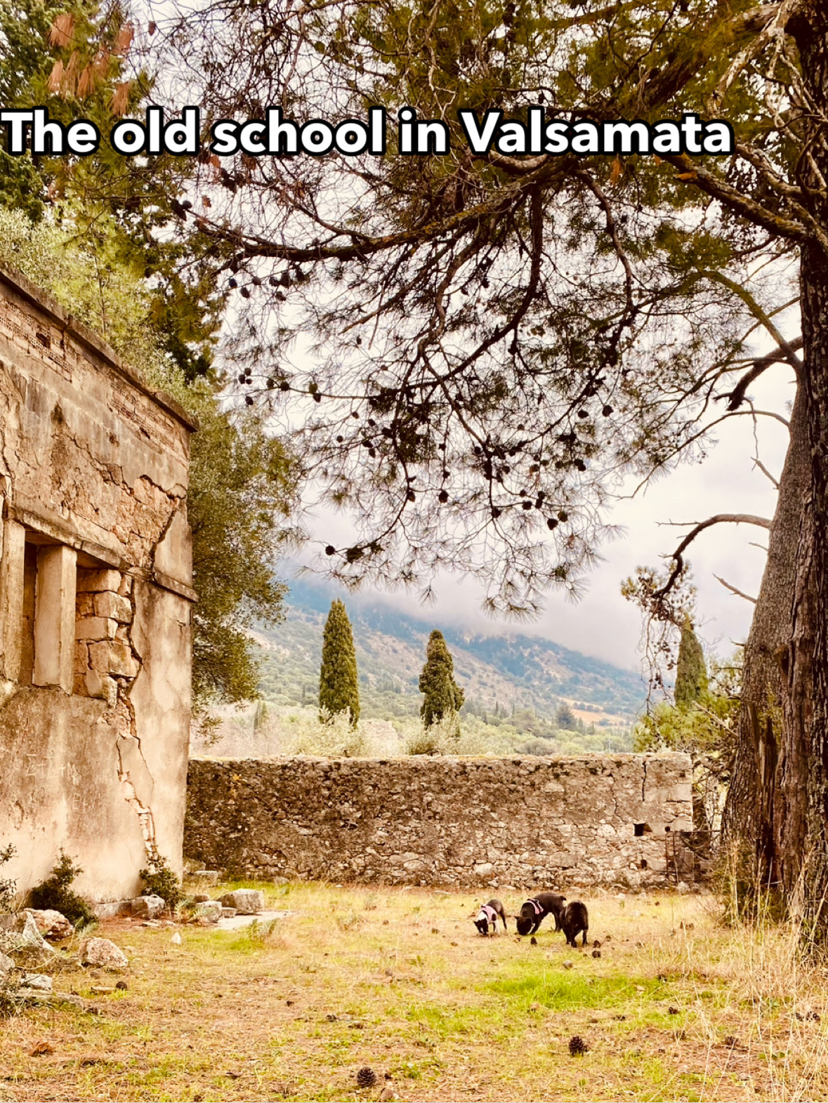 🇬🇷🇬🇷🇬🇷🇬🇷 The old abandoned village of Valsamata … Kefalonia 🇬🇷🇬🇷🇬🇷🇬🇷