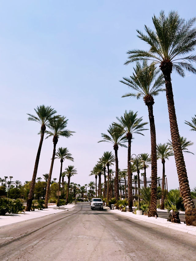 LAS VEGAS: Neon Dreams, Desert Heat, Endless Energy  🇺🇸