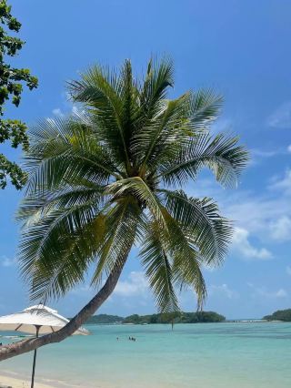 🌴 이번 9월에 해변 휴가를 계획 중이신가요? 모든 순간을 소중히 여길 만한 6곳의 여행지를 소개합니다 ✈️☀️