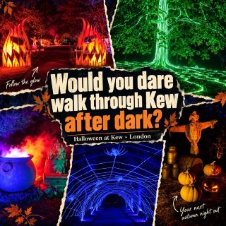 夜、キューガーデンを歩く勇気はありますか？🎃🌙
