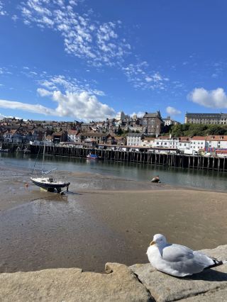 Skip the Sand, Take the View: Whitby from Above 🗼✨