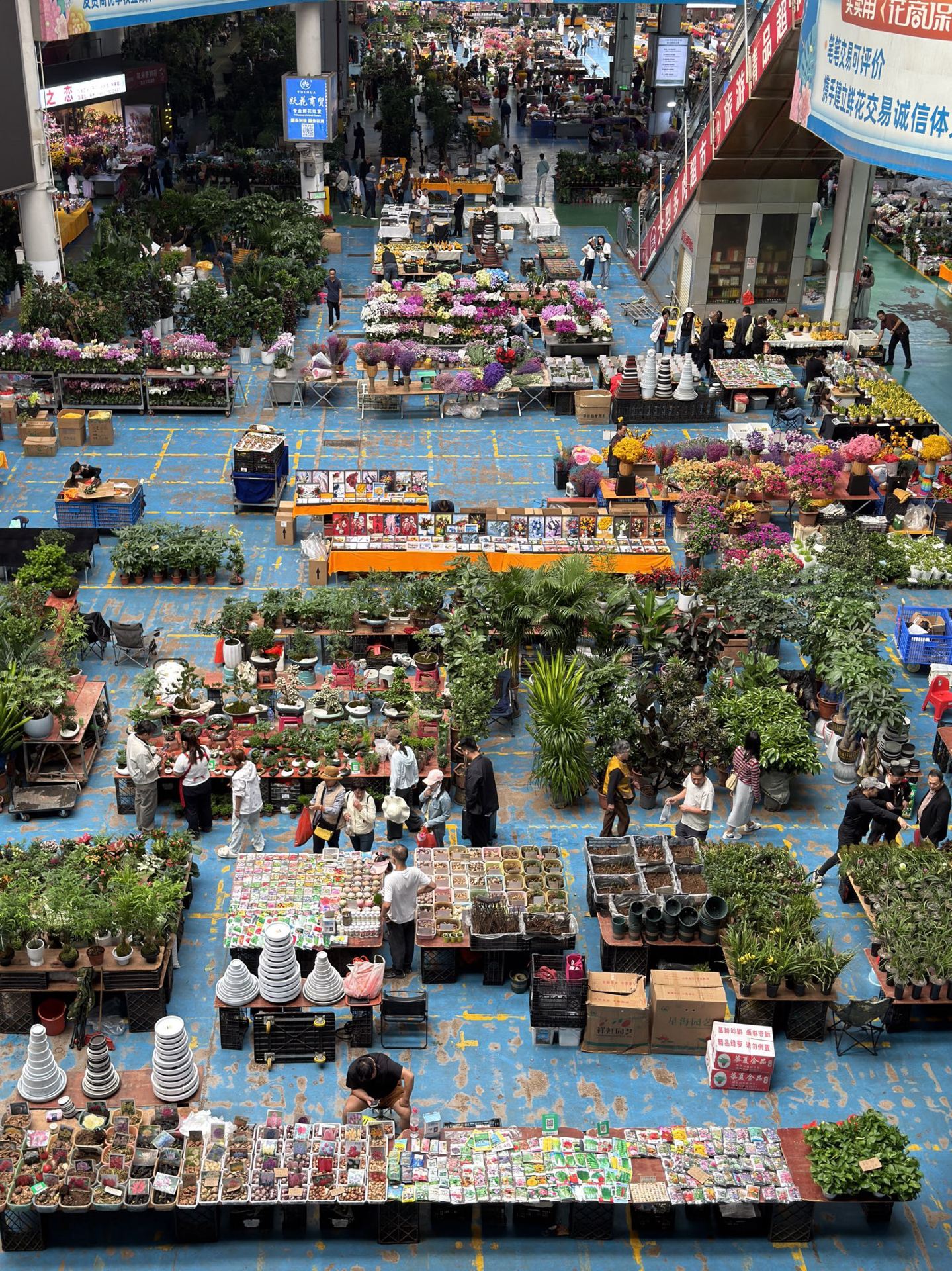 Local Discoveries: Dounan Flower Market