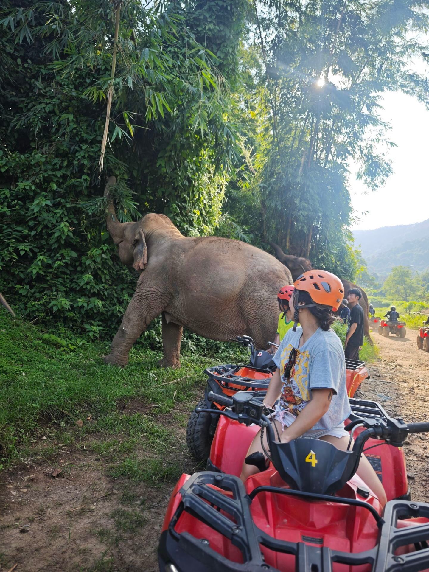 Thrilling Adventures at Tarzan World Zipline in Chiang Mai