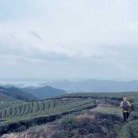 Discovering the Beauty of Dongqian Lake