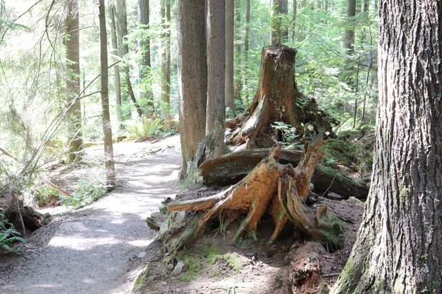 Sasamat Lake weekend hiking