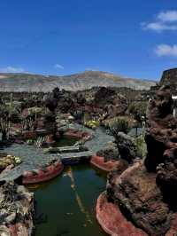 Las Vegas - Cactus Botanical Garden