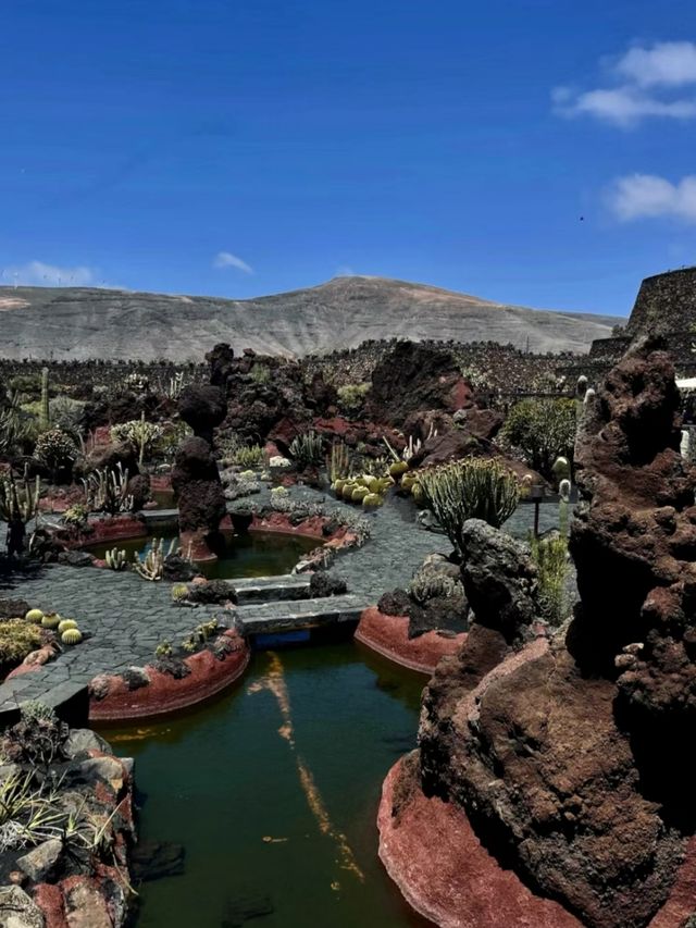 Las Vegas - Cactus Botanical Garden