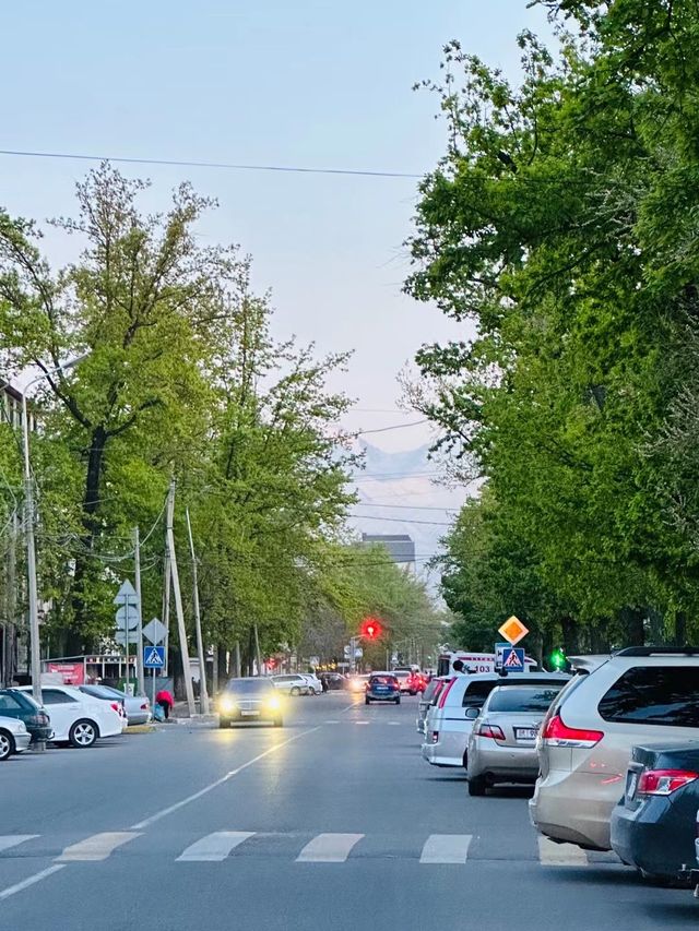 Bishkek, the romantic city at the foot of the Tianshan Mountains.