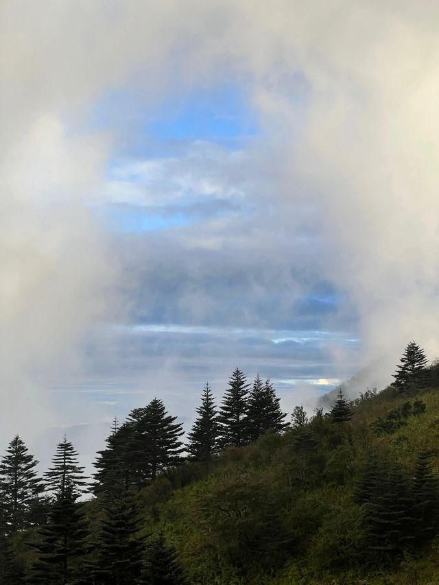 玉龍雪山駕到通通閃開（玉龍大峽谷攻略）