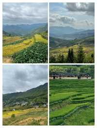 聯合梯田