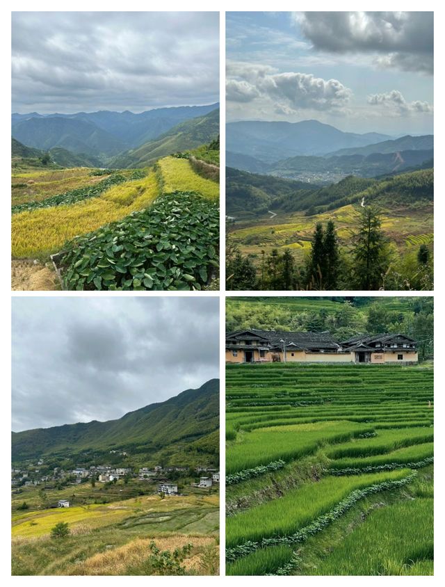 聯合梯田