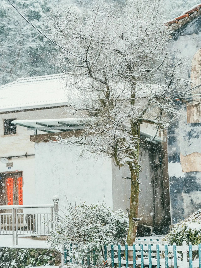 我喜歡下雪天，更喜歡帶我看雪的你