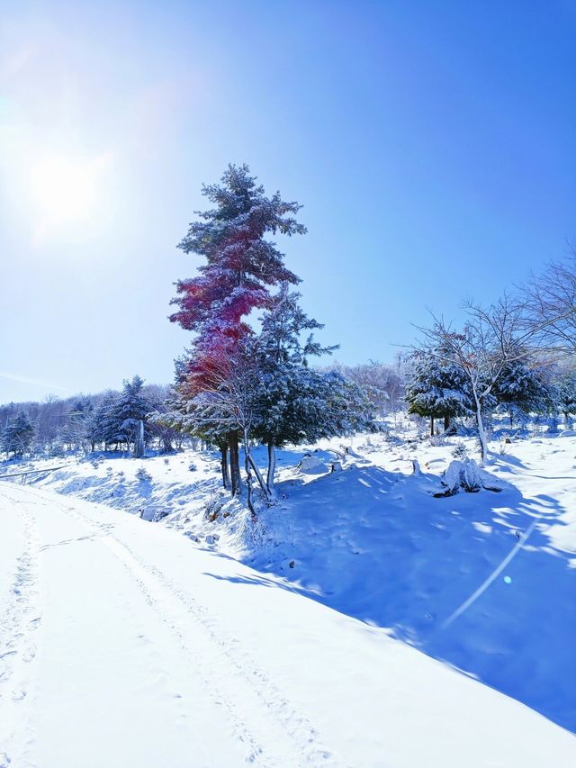 吉林絕美小眾賞雪地：在這個冬天誤入仙境
