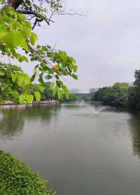 佛山遛娃好去處——免費寶藏公園中山公園！