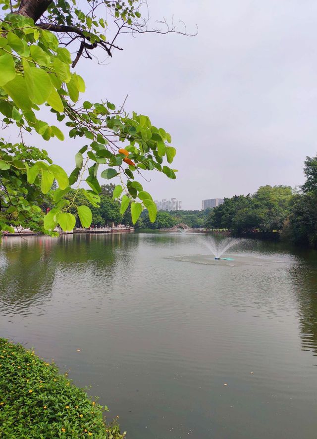 佛山遛娃好去處——免費寶藏公園中山公園！